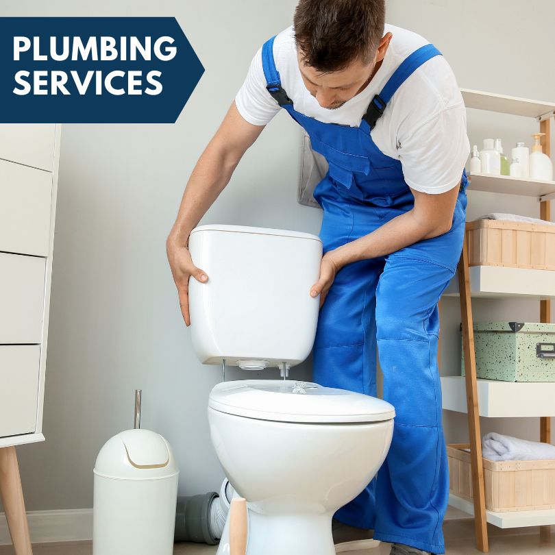 Plumbing Company in Manitou Beach, MI